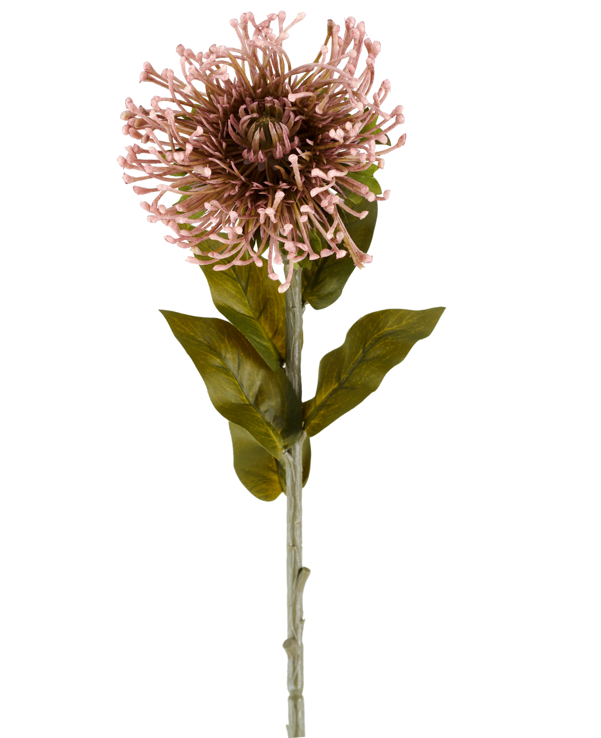 Artificiell blomma Protea 65 cm lila är en enda konstgjord blomma i form av en protea, med en rund klase av lila, spetsiga kronblad, gröna blad och en lång stjälk, avbildad mot en vanlig vit bakgrund.