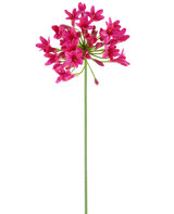 En enda, lång grön stjälk av artificiell blomma Agapanthus 75 fuchsia bär ett kluster av livfulla rosa blommor på toppen, som sticker ut mot en vanlig vit bakgrund.