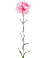 Konstgjord blomma: 68 cm nejlika, rosa, med rufsiga rosa kronblad på en lång grön stjälk, isolerad mot en vit bakgrund.