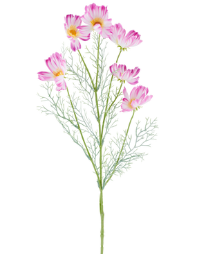 En 78 cm artificiell blomma Cosmo i kräm/rosa, med flera ljusrosa och vita kosmosblommor och fjädergröna blad, avbildad mot en vanlig vit bakgrund.