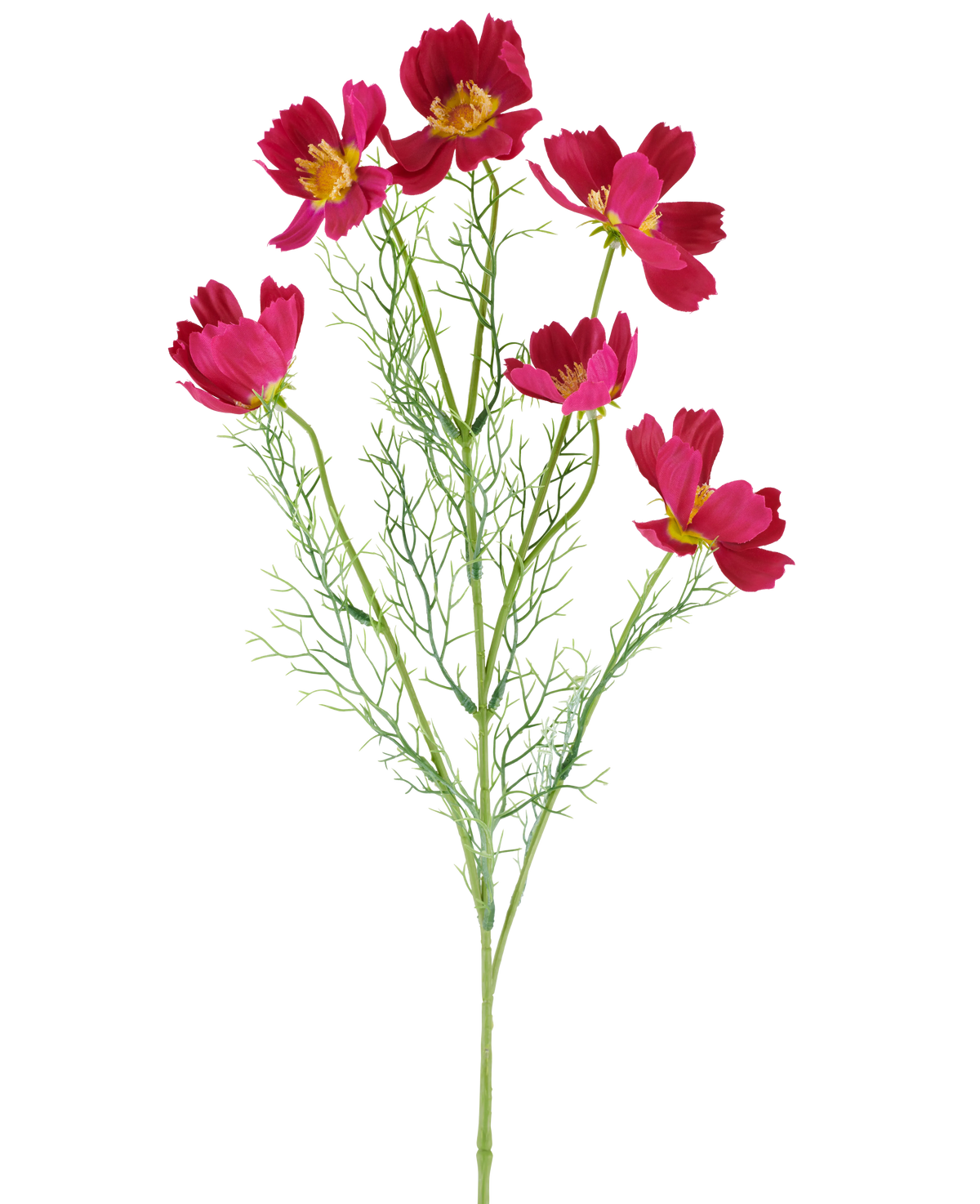 Artificiell blomma Cosmo 78 cm fuchsia består av livfulla fuchsiafärgade kosmosblommor med gula mittpunkter och känsliga, fjädergröna blad, mot en vit bakgrund.