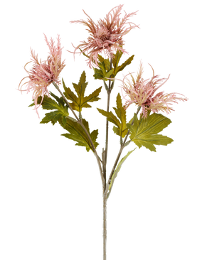 En enda stjälk av konstgjord blomma Armeria maritima, 67 cm gammal rosa, med flera gröna blad och tre spetsiga, gammalrosa blommor, avbildade mot en vanlig vit bakgrund.