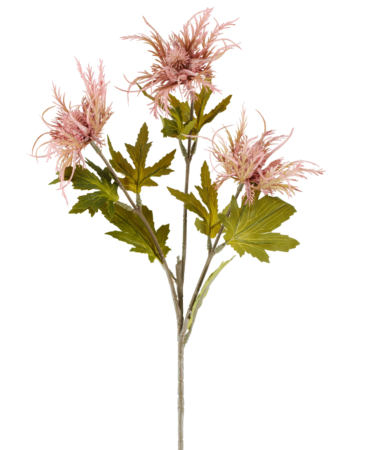 En enda stjälk av konstgjord blomma Armeria maritima, 67 cm gammal rosa, med flera gröna blad och tre spetsiga, gammalrosa blommor, avbildade mot en vanlig vit bakgrund.