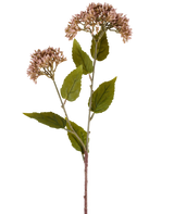 En enda stjälk av Artificiell Blomma Sedum 67 cm lila har två klasar av små, ljusmauve blommor och många gröna blad mot en vit bakgrund.