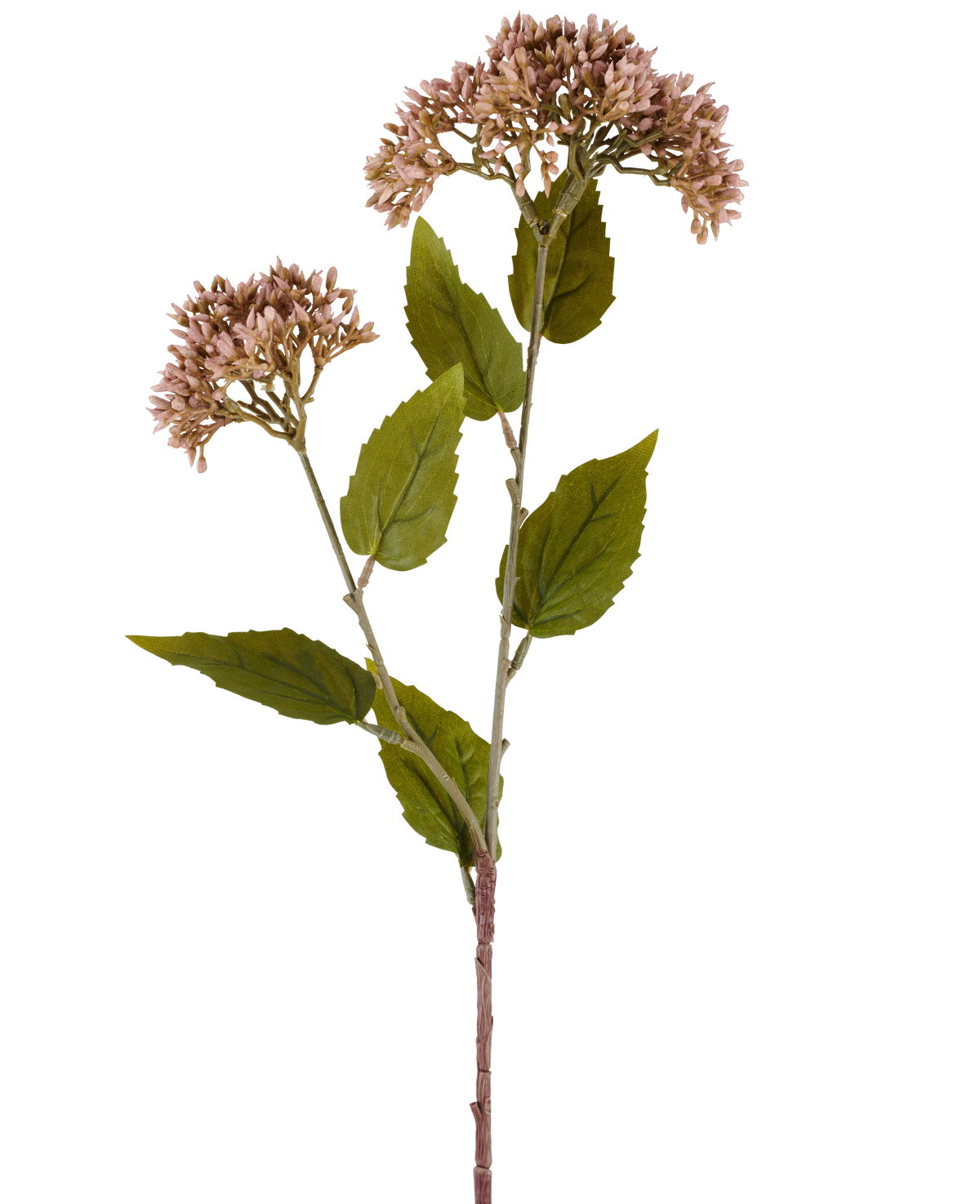 En enda stjälk av Artificiell Blomma Sedum 67 cm lila har två klasar av små, ljusmauve blommor och många gröna blad mot en vit bakgrund.