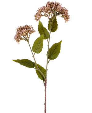 En enda stjälk av Artificiell Blomma Sedum 67 cm lila har två klasar av små, ljusmauve blommor och många gröna blad mot en vit bakgrund.