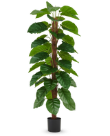 Den konstgjorda växten Epipremnum aureum 180 cm har stora, glänsande gröna blad arrangerade längs en central brun stjälk och kommer i en liten svart kruka, avbildad mot en vanlig vit bakgrund.