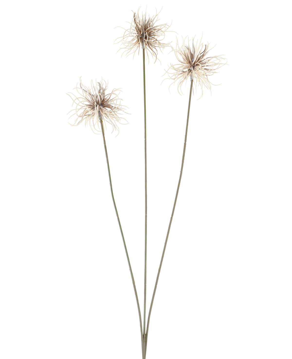 Tre konstgjorda blommor av släktet Xanthium i kräm och brunt, var och en med tunna, långa stjälkar på 64 cm, arrangerade i solfjäderform mot en vanlig vit bakgrund.