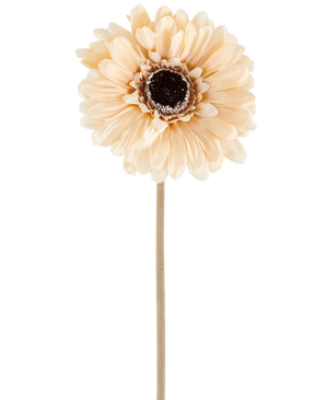 Den konstgjorda blomman Gerbera 53 cm kräm/brun består av en enkel ljus persikofärgad konstgjord gerbera med skiktade kronblad och ett mörkbrunt hjärta på en lång, smal stjälk, avbildad mot en vanlig vit bakgrund.