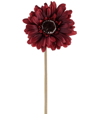 Den konstgjorda blomman Gerbera 53 cm bordeaux består av en konstgjord gerbera i en rik, mörkröd nyans med skiktade kronblad och ett brunt hjärta, fäst vid en lång, rak, ljus stjälk och presenterad mot en vanlig vit bakgrund.