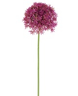 En enda lång stjälk av konstgjord blommaskros 63 cm fuchsia bär en rund klase av små, stjärnformade, fuchsiablommor mot en vit bakgrund.