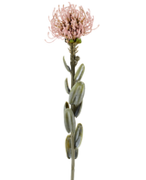 En enda stjälk av den konstgjorda blomman Protea 61 cm lila, med ovala gröna blad och en rund, taggig ljus lila-rosa blomma i toppen, avbildad mot en vanlig vit bakgrund.