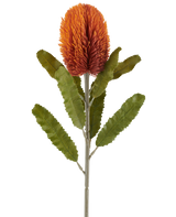 En enda 65 cm artificiell blombanksia i gammal orange har en stor, taggig, gammal orange blomma på toppen av en kraftig stjälk, med flera långsträckta, tandade gröna blad arrangerade symmetriskt längs stjälken, allt mot en vit bakgrund.
