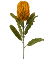 En enda konstgjord Banksia-blomma i senapsfärg, 65 cm hög, med cylindrisk form och tandade gröna blad på en lång stjälk, isolerad mot en vit bakgrund.