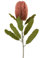 En enda stjälk av den konstgjorda blomman Banksia 65 cm gammal rosa har en stor, rosa, cylindrisk blomma och långa, tandade gröna blad som sticker ut mot en vit bakgrund.