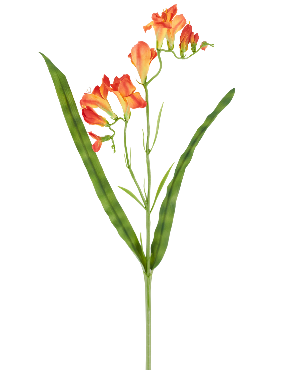 En enda stjälk av artificiell blomma Freesia 56 cm orange, med långa, smala gröna blad och flera orangea fresiablommor i blom i toppen, avbildad mot en vit bakgrund.