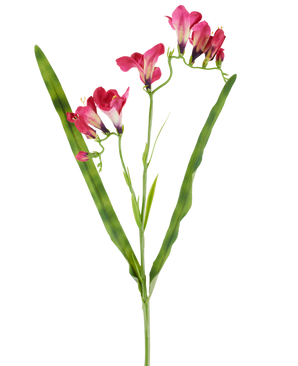 En konstgjord blomma: 56 cm fresia i fuchsia, med livfulla fuchsiablommor och två långa, smala gröna blad, avbildade på vit bakgrund.