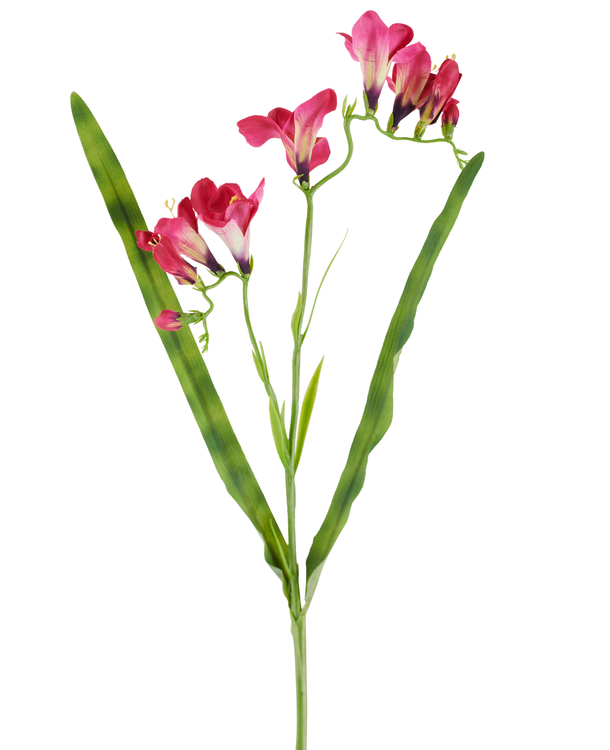 En konstgjord blomma: 56 cm fresia i fuchsia, med livfulla fuchsiablommor och två långa, smala gröna blad, avbildade på vit bakgrund.