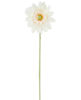Artificiell blomma Mini Gerbera 47 cm kräm är en enda konstgjord blomma i en krämig vit nyans, med skiktade kronblad och ett grönt hjärta, fäst vid en lång, rak grön stjälk och presenterad mot en vanlig vit bakgrund.