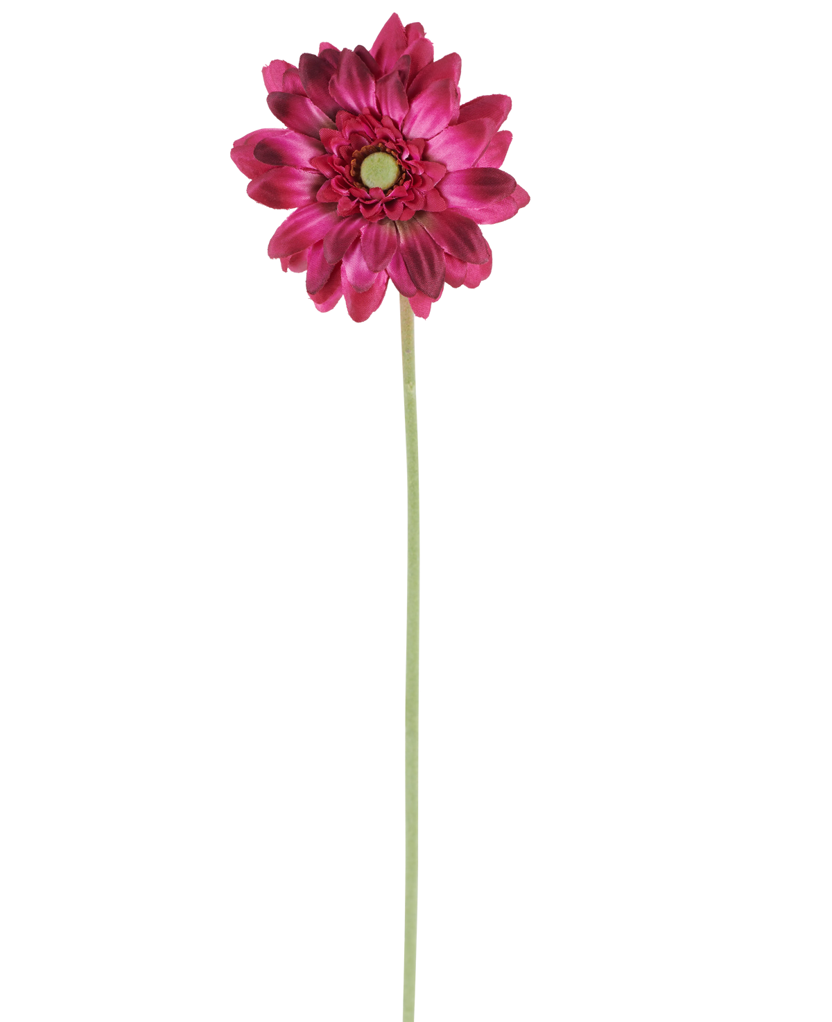 En enda konstgjord blomma mini-gerbera på 47 cm i mörkrosa med skiktade kronblad och ett grönt hjärta på en lång, smal grön stjälk, isolerad mot en vit bakgrund.