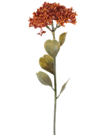 En enda konstgjord Sedum-blomma på 46 cm i vittrad orange, med klasar av små röd-orange blommor och några gröna blad, avbildad på en vit bakgrund.