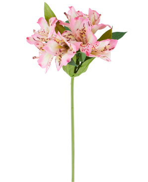 En enda konstgjord Alstroemeria-blomma på 47 cm, rosa/kräm, med olika rosa och krämfärgade blommor och gröna blad, visad mot en vit bakgrund.