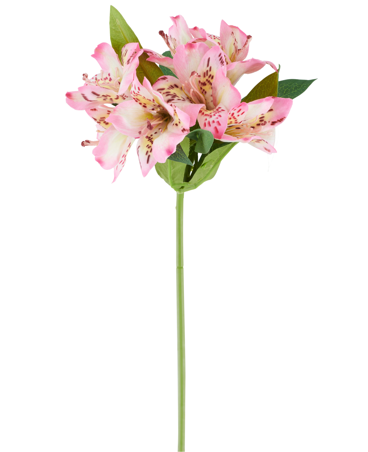En enda konstgjord Alstroemeria-blomma på 47 cm, rosa/kräm, med olika rosa och krämfärgade blommor och gröna blad, visad mot en vit bakgrund.