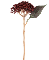 En enda konstgjord blomtorkad hortensia i vinröd, med en längd av 38 cm, med torkade rödbruna kronblad, ett kluster av små knoppar och ett grönt blad på en lång, smal stjälk, avbildas mot en vit bakgrund.