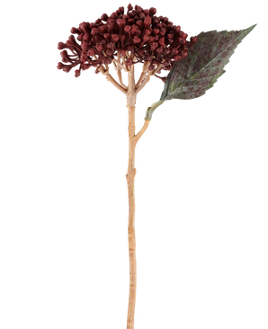 En enda konstgjord blomtorkad hortensia i vinröd, med en längd av 38 cm, med torkade rödbruna kronblad, ett kluster av små knoppar och ett grönt blad på en lång, smal stjälk, avbildas mot en vit bakgrund.