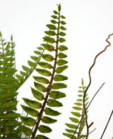 Närbild av den konstgjorda växten Boston Fern 48 cm i en dekorativ kruka: gröna ormbunksblad sticker ut mot en vit bakgrund, med några tunna, krullade bruna grenar mellan löven.