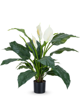 Den konstgjorda växten Spathiphyllum vit 85 cm är en realistisk krukväxt med stora, mörkgröna blad och tre vita blommor mot en vanlig vit bakgrund - en stilren krukväxt för alla inredningar.