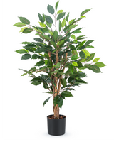 Den konstgjorda växten Ficus Green 90 cm har flera bruna stjälkar och frodiga gröna blad i en enkel svart kruka - perfekt som en snygg kontorsväxt.