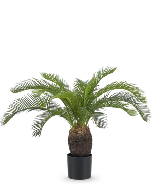 Den konstgjorda växten Baby Cycas Palm 60 cm har långa, böjda gröna blad och en tjock, strukturerad brun stam, presenterad i en kruka mot en vanlig vit bakgrund.