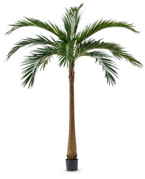 Artificial Palm XL Deluxe 270 cm har en hög, smal brun stam och stora gröna blad, som står elegant i en liten svart kruka mot en vit bakgrund.