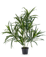 Den konstgjorda växten Dracaena Reflexa i kruka UV 63 cm har långa, smala gröna blad på tunna stjälkar, perfekt för att lägga till en touch av tropisk stil till din inredning mot en vanlig vit bakgrund.