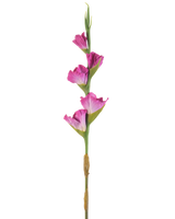En enda stjälk av Artificiell Blomma Gladiolus 83 cm fuchsia har fyra livfulla rosa blommor på en grön stjälk, mot en vanlig vit bakgrund.