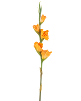 Den konstgjorda blomman Gladiolus 83 cm orange har en lång grön stjälk med flera orangea gladiolusblommor på vit bakgrund.