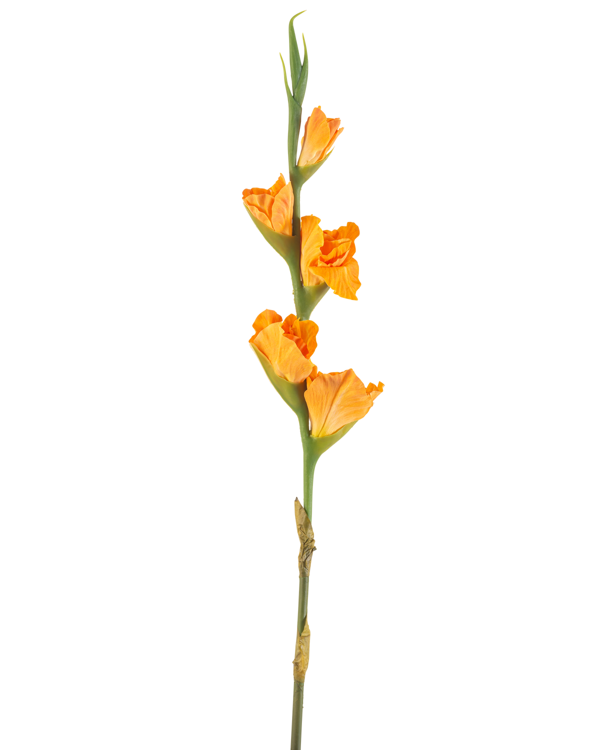 Den konstgjorda blomman Gladiolus 83 cm orange har en lång grön stjälk med flera orangea gladiolusblommor på vit bakgrund.