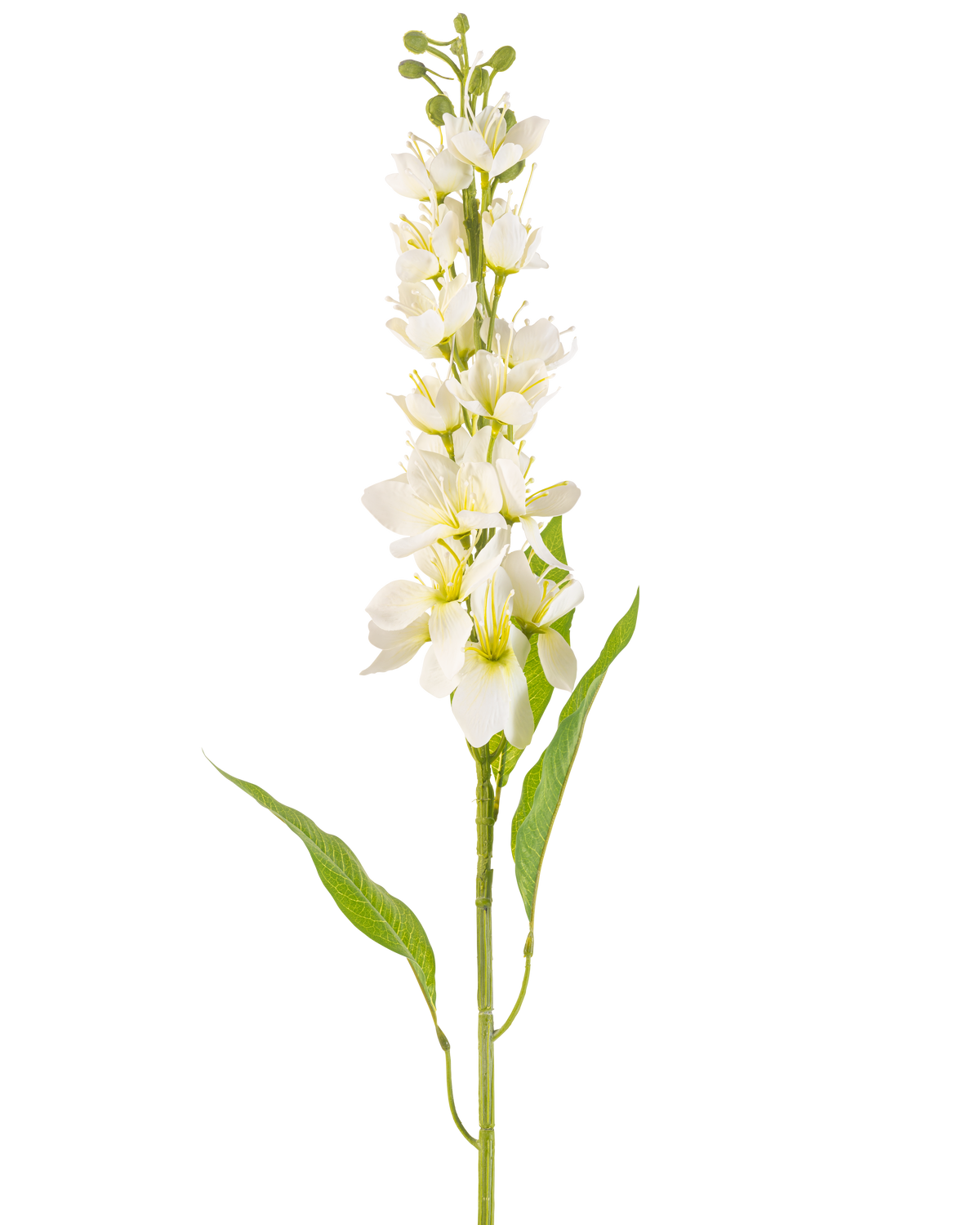 Den konstgjorda blomman Asian apple 84 cm cream har en lång stjälk med flera fina krämfärgade blommor och långa smala gröna blad mot en vanlig vit bakgrund.