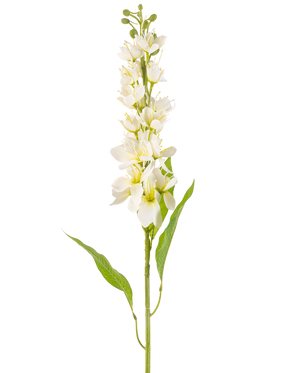 Den konstgjorda blomman Asian apple 84 cm cream har en lång stjälk med flera fina krämfärgade blommor och långa smala gröna blad mot en vanlig vit bakgrund.