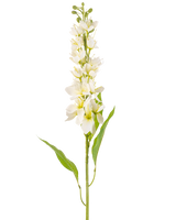 Den konstgjorda blomman Asian apple 84 cm cream har en lång stjälk med flera fina krämfärgade blommor och långa smala gröna blad mot en vanlig vit bakgrund.
