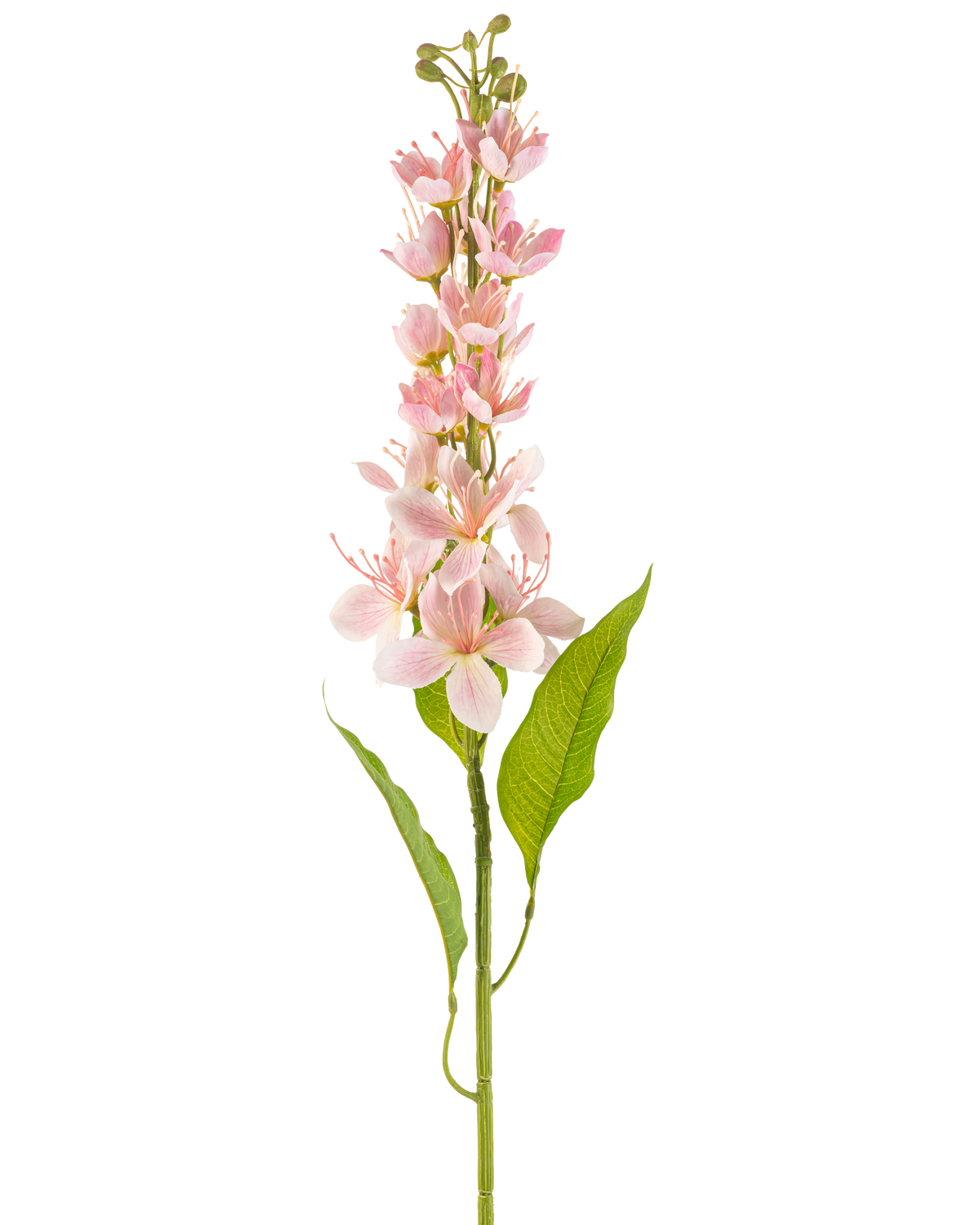 En enda konstgjord blomma asiatiskt äpple 84 cm rosa med ljusrosa blommor och smala gröna blad, vertikalt anordnade mot en vit bakgrund.