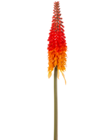 Artificiell blomma Torch Lily 80 cm orange har en hög konstgjord blomma med en lång grön stjälk och en konformad klase av orange kronblad, mot en vanlig vit bakgrund.