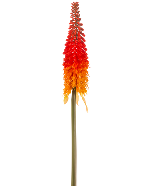 Artificiell blomma Torch Lily 80 cm orange har en hög konstgjord blomma med en lång grön stjälk och en konformad klase av orange kronblad, mot en vanlig vit bakgrund.