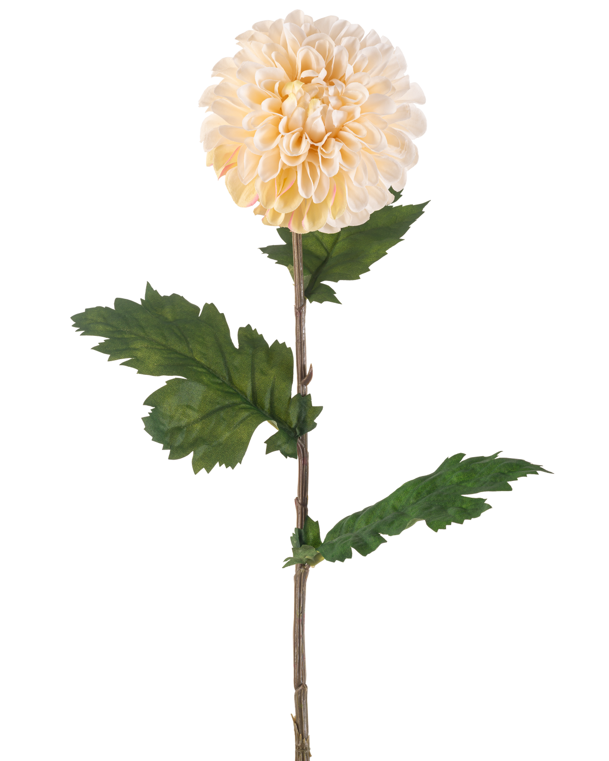 Krämen Artificiell Blomma Dahlia 75 cm har en enda stjälk med en stor, rund krämfärgad dahliablomma och flera gröna, tandade blad på vit bakgrund.