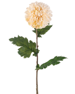 Krämen Artificiell Blomma Dahlia 75 cm har en enda stjälk med en stor, rund krämfärgad dahliablomma och flera gröna, tandade blad på vit bakgrund.