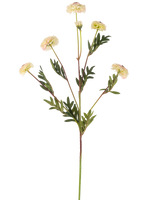 Den konstgjorda blomman Pompon Chrysanthemum 69 cm kräm/rosa har en enda stjälk med flera krämrosa, tusensköna-liknande blommor och gröna, ormbunksformade blad mot en vanlig vit bakgrund.