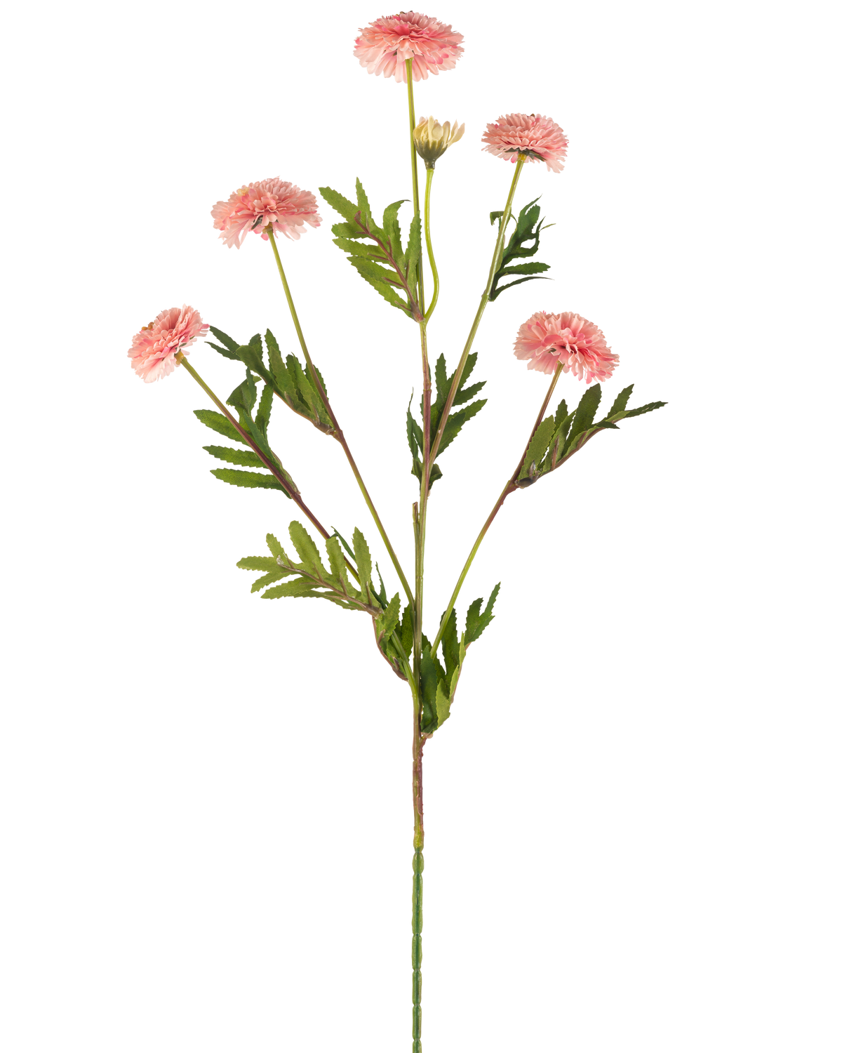 Den konstgjorda blomman Pompon Chrysanthemum 69 cm rosa har en enda stjälk med flera ljusrosa, runda pompongblommor och gröna ormbunksliknande blad mot en vit bakgrund.