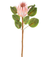 Artificiell blomma Protea 65 cm rosa är en enda konstgjord rosa proteablomma med stora gröna blad och en lång brun stjälk, mot en vanlig vit bakgrund.