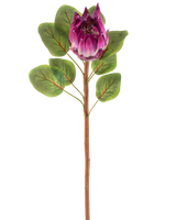 Artificiell blomma Protea 65 cm lila har en enda konstgjord lila proteablomma med gröna blad och en lång brun stjälk, mot en vit bakgrund.